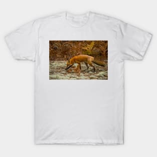 Red Fox T-Shirt